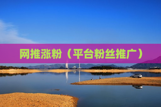 网推涨粉（平台粉丝推广）