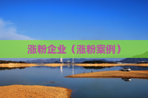 涨粉企业（涨粉案例）