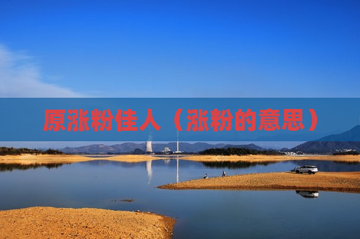 原涨粉佳人（涨粉的意思）