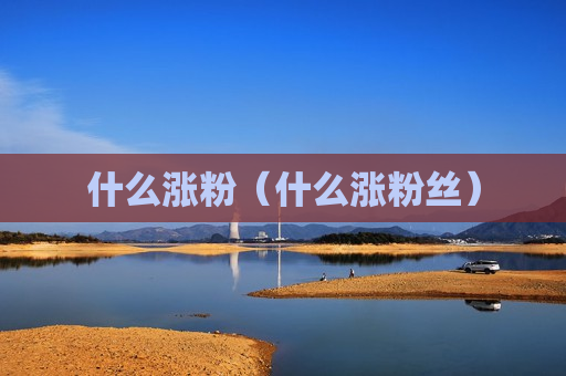 什么涨粉（什么涨粉丝）
