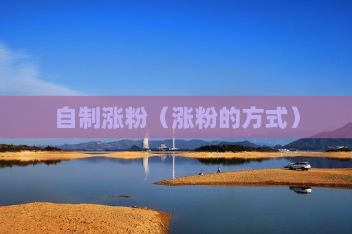 自制涨粉（涨粉的方式）