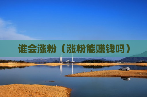 谁会涨粉（涨粉能赚钱吗）