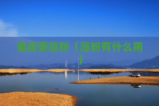 谁需要涨粉（涨粉有什么用）