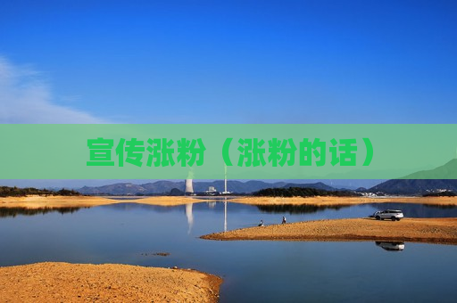 宣传涨粉（涨粉的话）