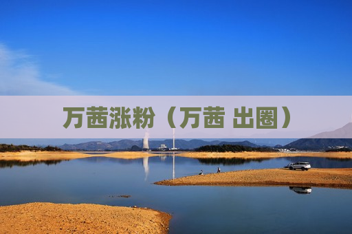 万茜涨粉（万茜 出圈）