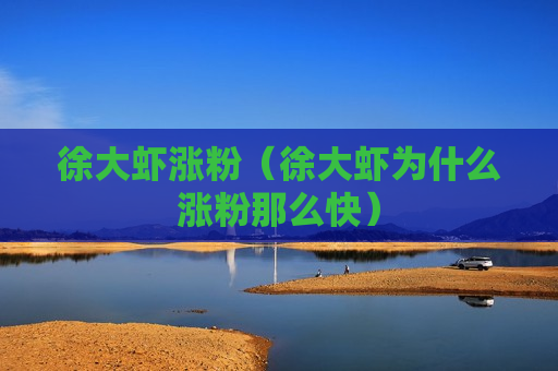 徐大虾涨粉（徐大虾为什么涨粉那么快）