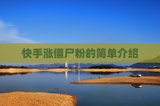 快手涨僵尸粉的简单介绍