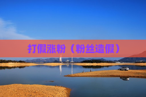 打假涨粉（粉丝造假）