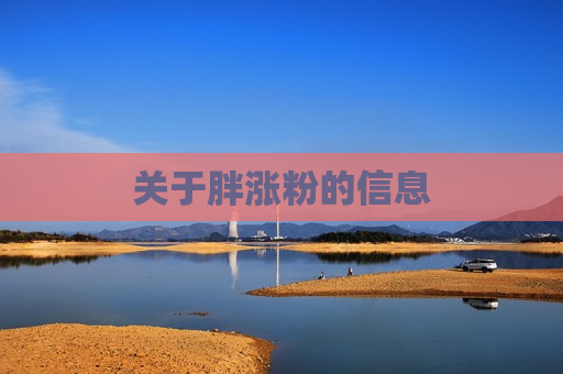 关于胖涨粉的信息