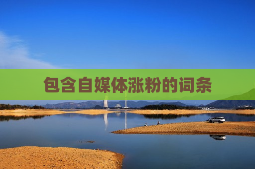 包含自媒体涨粉的词条