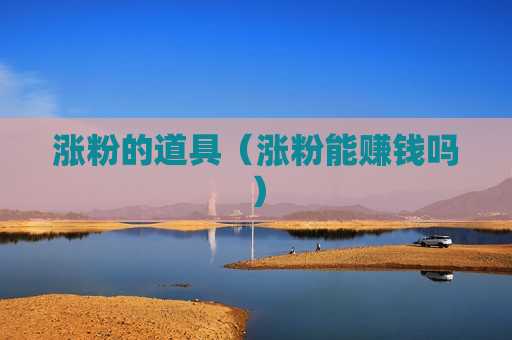 涨粉的道具（涨粉能赚钱吗）