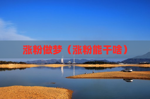 涨粉做梦（涨粉能干啥）