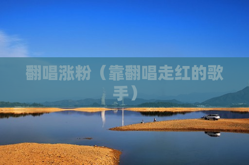 翻唱涨粉（靠翻唱走红的歌手）