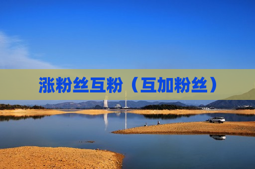 涨粉丝互粉（互加粉丝）