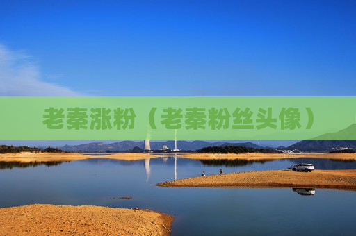 老秦涨粉（老秦粉丝头像）