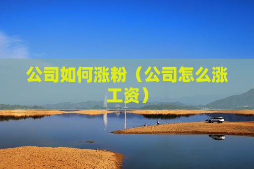公司如何涨粉（公司怎么涨工资）
