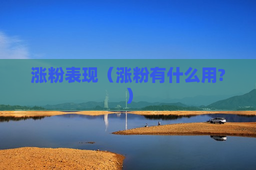 涨粉表现（涨粉有什么用?）