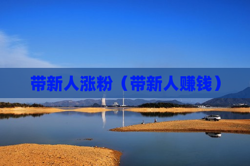 带新人涨粉（带新人赚钱）