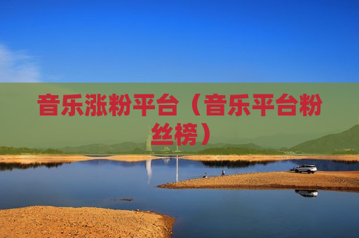 音乐涨粉平台（音乐平台粉丝榜）