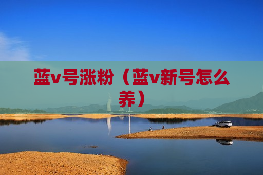 蓝v号涨粉（蓝v新号怎么养）