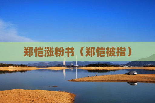 郑恺涨粉书（郑恺被指）