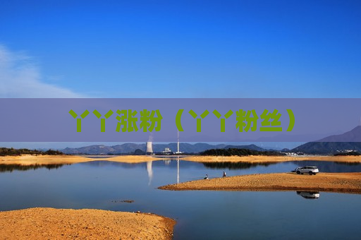 丫丫涨粉（丫丫粉丝）