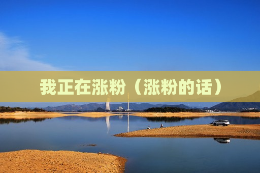 我正在涨粉（涨粉的话）