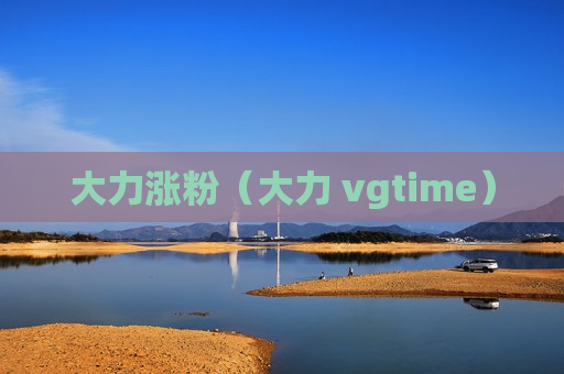 大力涨粉（大力 vgtime）