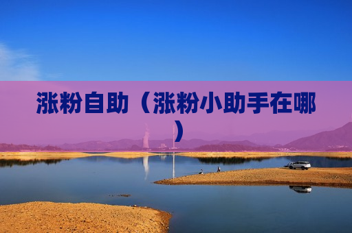 涨粉自助（涨粉小助手在哪）