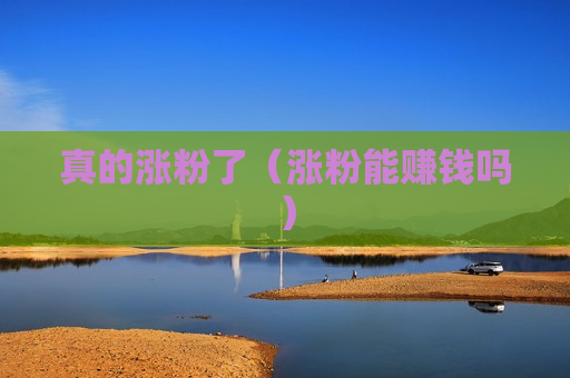 真的涨粉了（涨粉能赚钱吗）