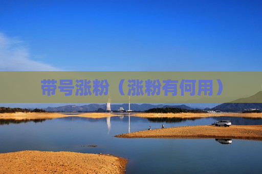 带号涨粉（涨粉有何用）