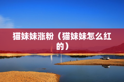 猫妹妹涨粉（猫妹妹怎么红的）