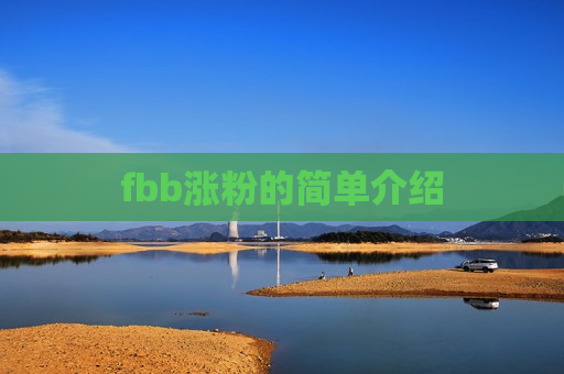 fbb涨粉的简单介绍