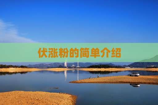 伏涨粉的简单介绍