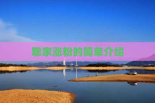 聪家涨粉的简单介绍