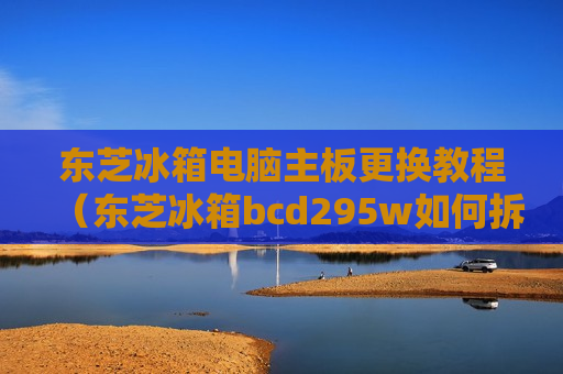 东芝冰箱电脑主板更换教程（东芝冰箱bcd295w如何拆卸）