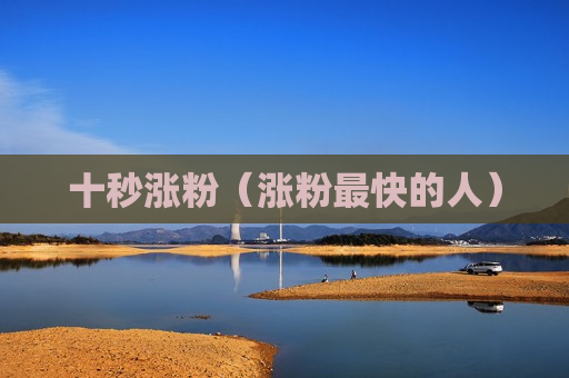 十秒涨粉（涨粉最快的人）