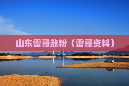 山东雷哥涨粉（雷哥资料）