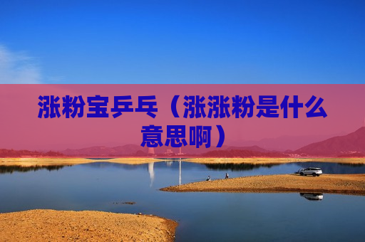 涨粉宝乒乓（涨涨粉是什么意思啊）