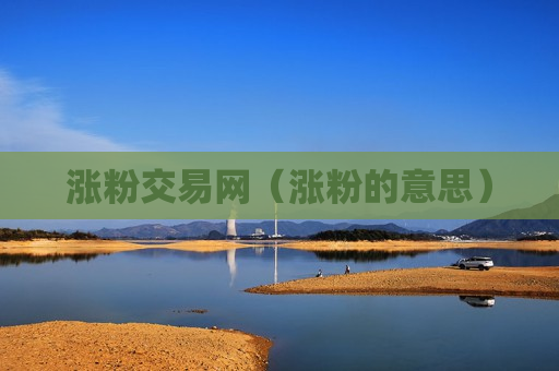 涨粉交易网（涨粉的意思）