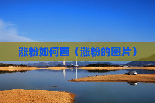 涨粉如何画（涨粉的图片）