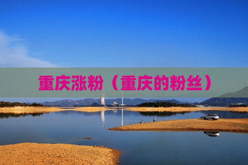 重庆涨粉（重庆的粉丝）