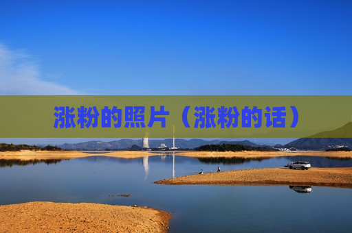 涨粉的照片（涨粉的话）