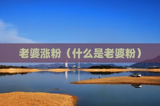 老婆涨粉（什么是老婆粉）