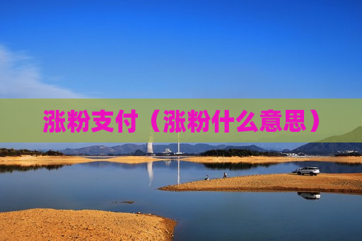 涨粉支付（涨粉什么意思）