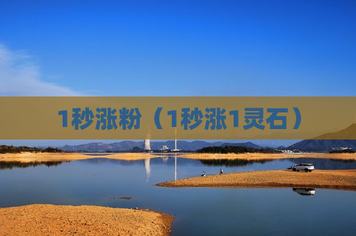 1秒涨粉（1秒涨1灵石）
