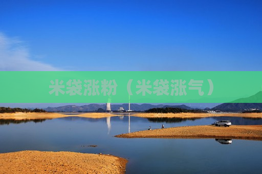 米袋涨粉（米袋涨气）