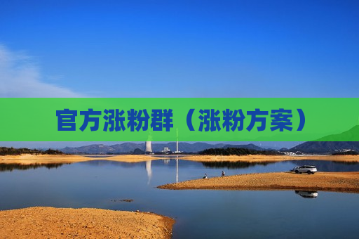 官方涨粉群（涨粉方案）