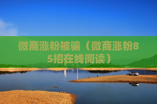微商涨粉被骗（微商涨粉85招在线阅读）