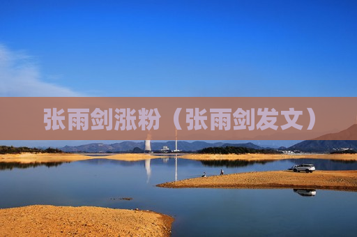 张雨剑涨粉（张雨剑发文）